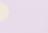 Annie Dot Purple Rose - Roxo