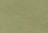 Olive Night Lightweight - Verde