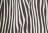 Wavy Zebra Creme Brulee - Multi Colour