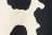 Cow Print Shrt Black White - Multi Colour