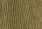 Olive Night Corduroy - Verde