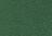 Garment Dye Dark Green - Green