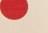 Polka Dot Cream And Red - Multicor