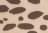New Stella Leopard Almond Buff - Multi Colour
