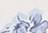 Emmeline Floral Chambray - Multicor