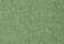 Garment Dye Vineyard Green Jersey - Verde