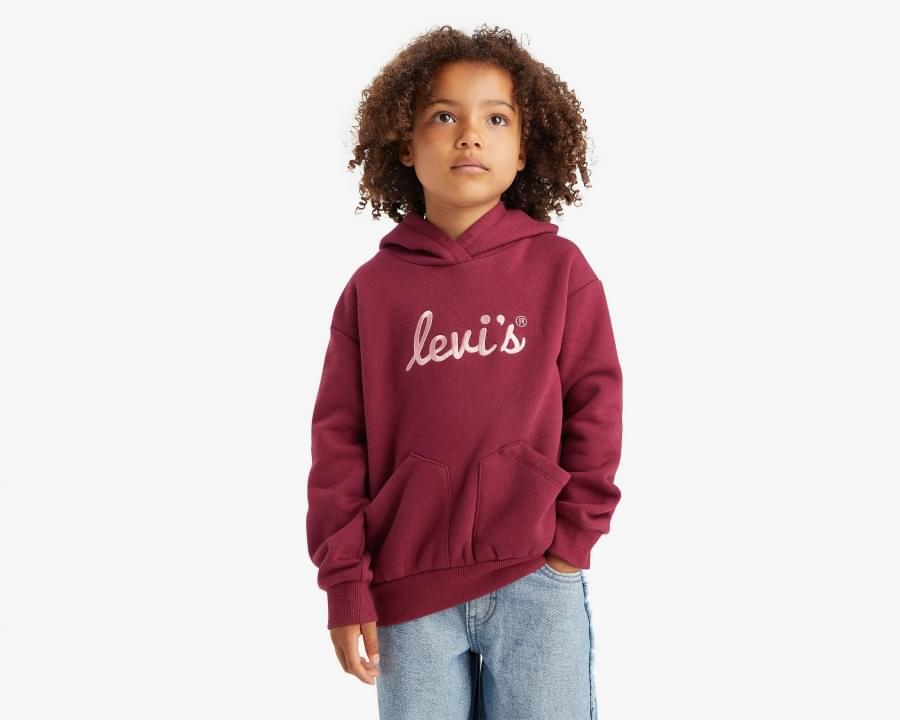 Levis sale hoodie kids