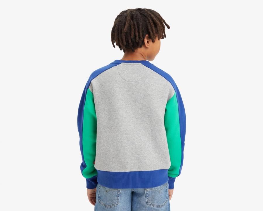 Sweat on sale levis colorblock