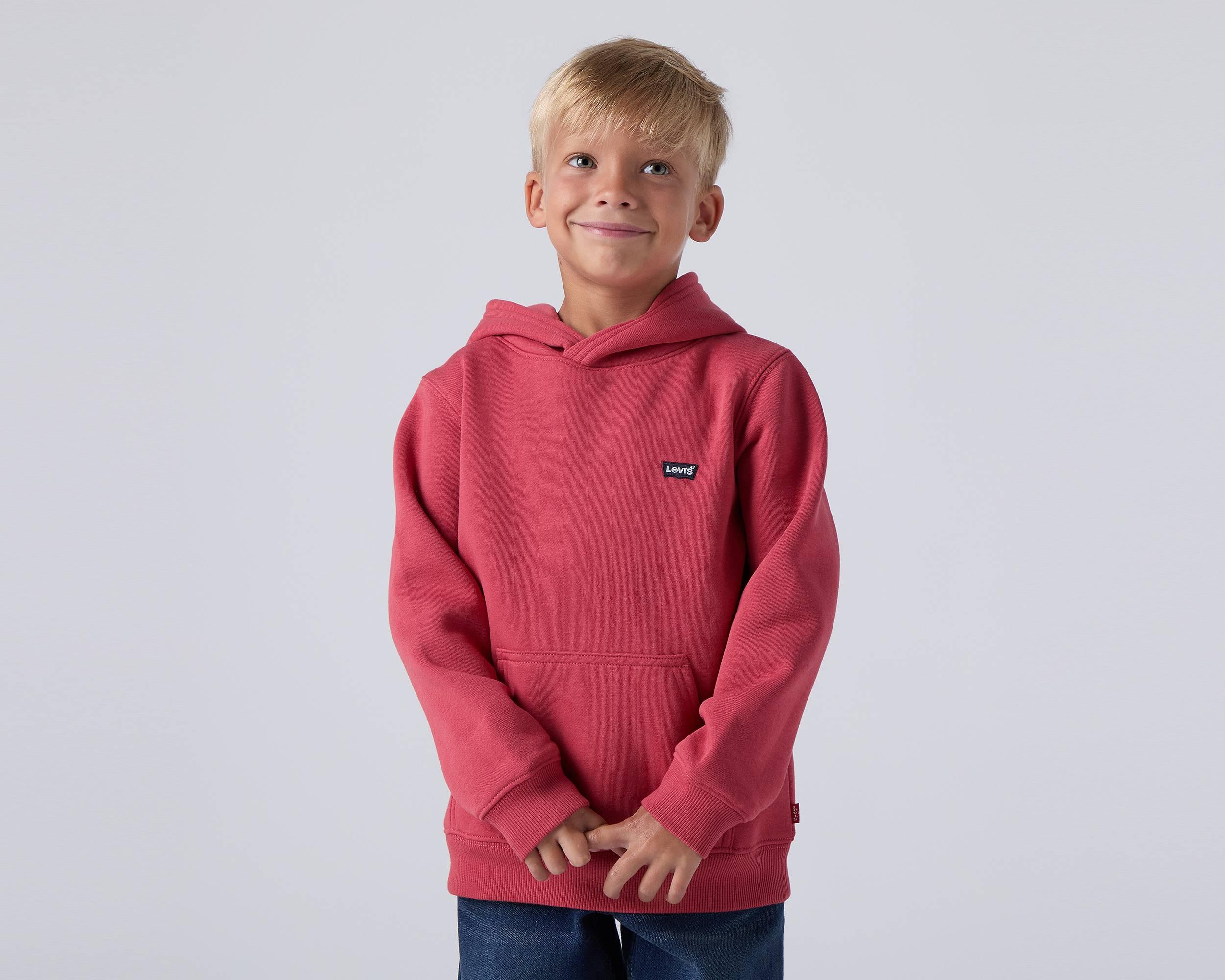 Levis 501 Kids Levis Sweatshirt Levi's Boys Blue Ivory Sweatshirt