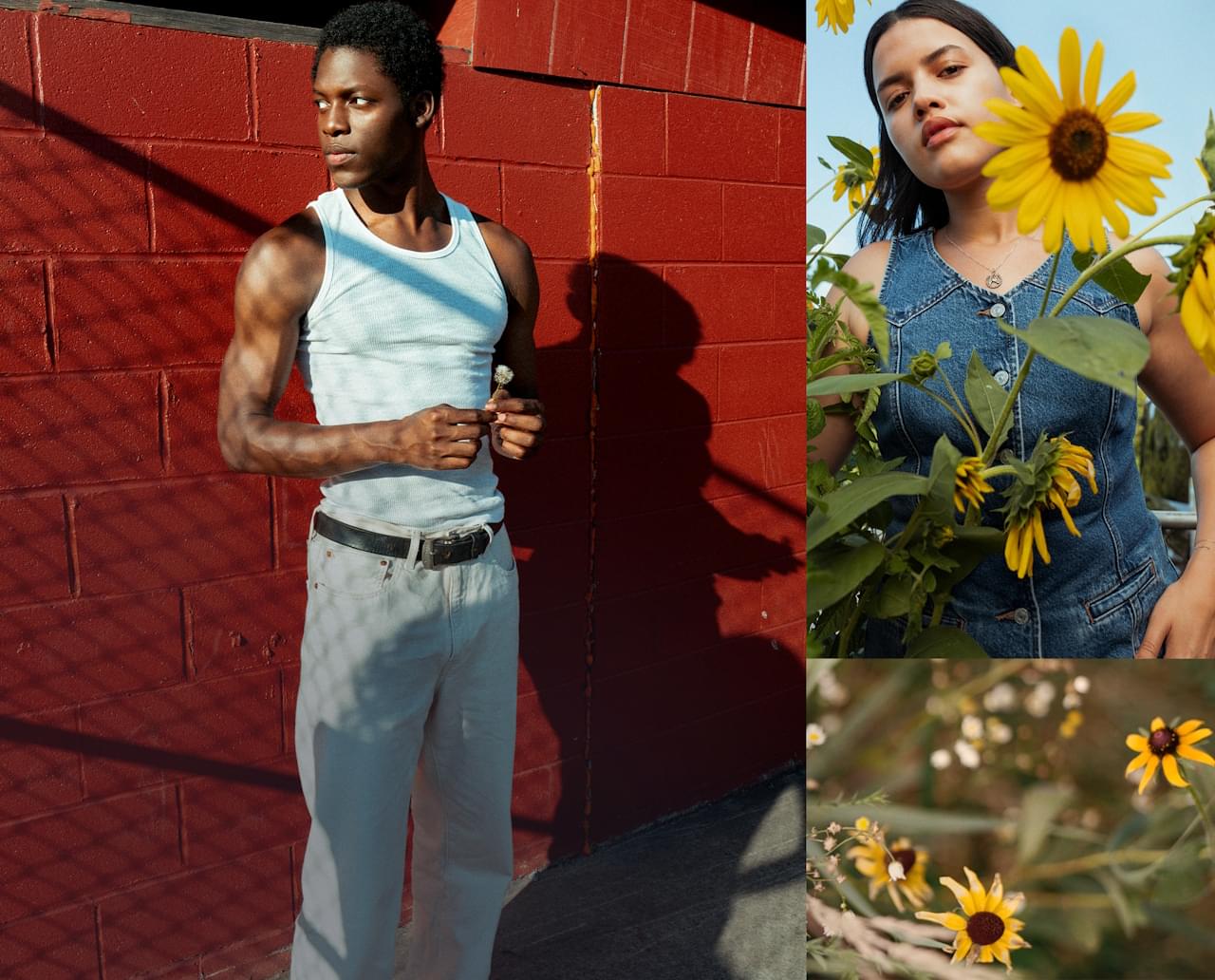 Levi's